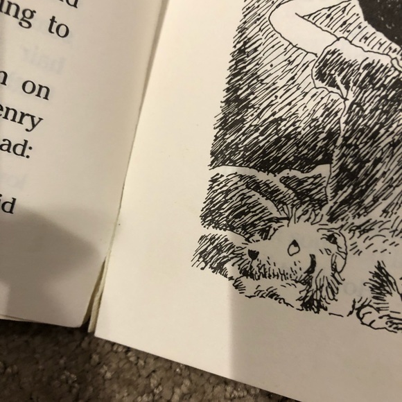 📚5 for $15 The Night of the Vampire Kitty - Picture 3 of 6